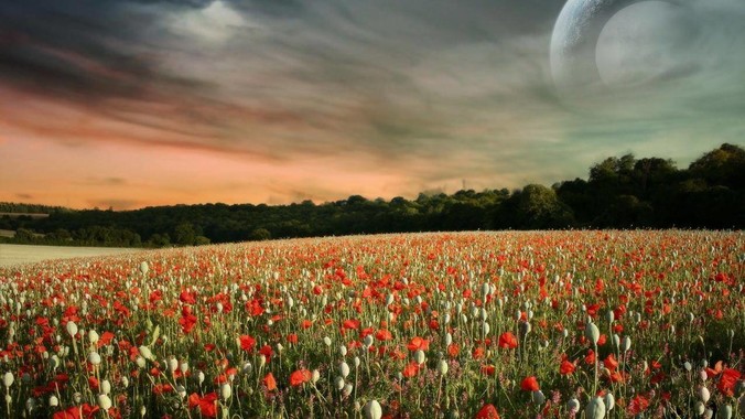 为什么大家不再提星链了(包括外网)?